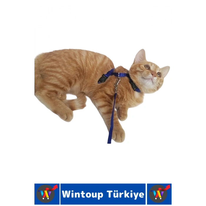 Evcil Hayvan Pet Rahatsız Etmez Ayarlanabilir Tasarım Kaçış Önleme Çok Şık Kedi Boyun Göğüs Tasması