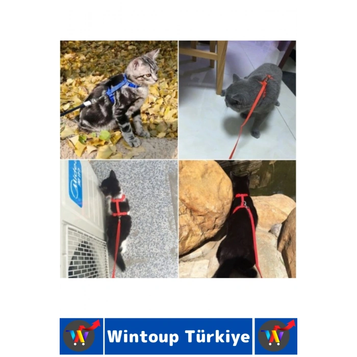 Evcil Hayvan Pet Rahatsız Etmez Ayarlanabilir Tasarım Kaçış Önleme Çok Şık Kedi Boyun Göğüs Tasması