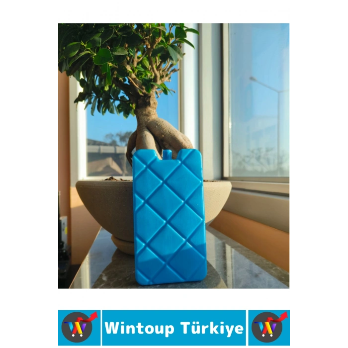 Premium Outdoor Piknik Kamp Seyahat Balıkçı Medikal Yiyecek İçecek Soğuk Sızdırmaz Buz Kaseti 20li