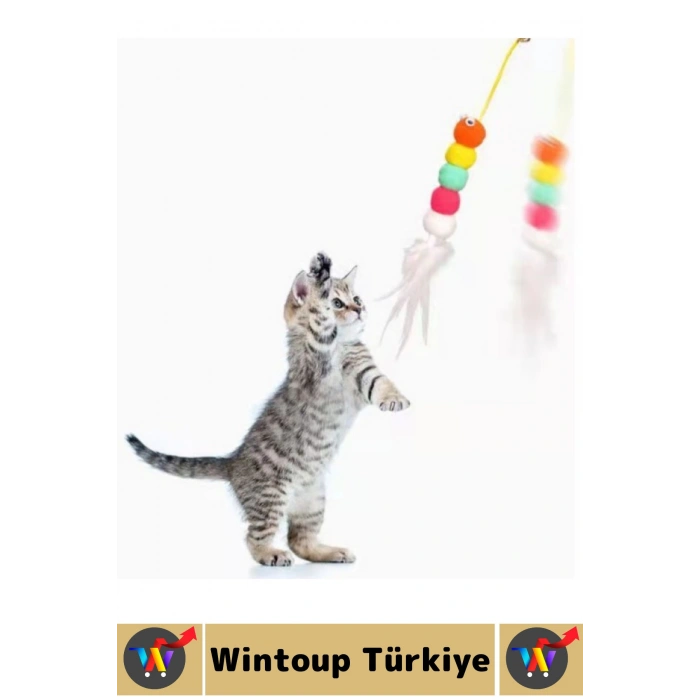 Kendinden Yapışkanlı Evcil Hayvan Pet İlgi Çekici Renkli Sevimli Eğitici Elastik Kedi Oyun Oltası