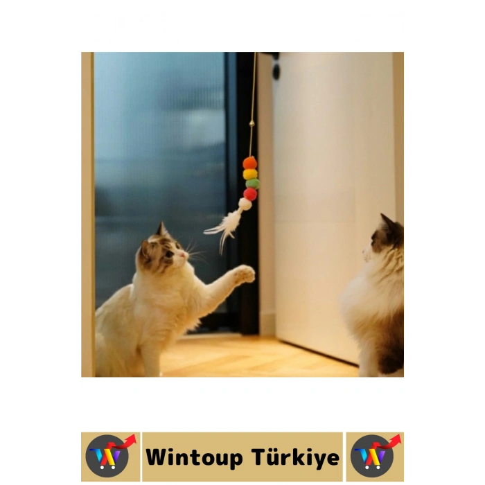 Kendinden Yapışkanlı Evcil Hayvan Pet İlgi Çekici Renkli Sevimli Eğitici Elastik Kedi Oyun Oltası