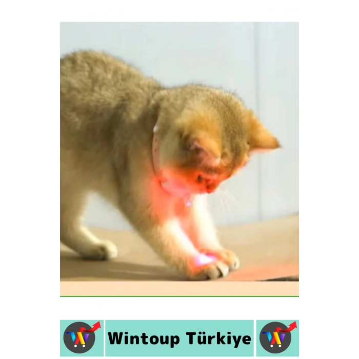 #Tasma Esnek Kafa Açılı Ayarlanabilir Silikon Kayış 2 Modlu Şarjlı Otomatik Lazer Kedi Oyun Tasması