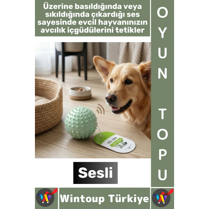 #Pet Evcil Hayvan Küçük Irk Köpek Avcılık İçgüdüsü Masaj Diş Kaşıma Sesli Dikenli Kedi Oyuncağı Topu