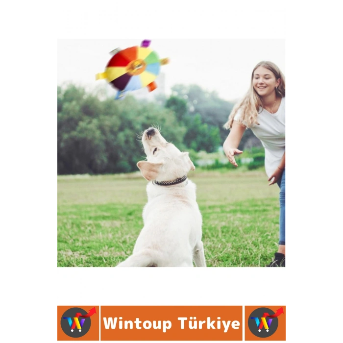 #Oyuncak Evcil Hayvan Oyuncak İlgi Çekici Renkli Sesli Yakala-Getir Isırma Çekiştirme Çıngıraklı Yumuşak Peluş Frizbi Köpek Oyuncağı