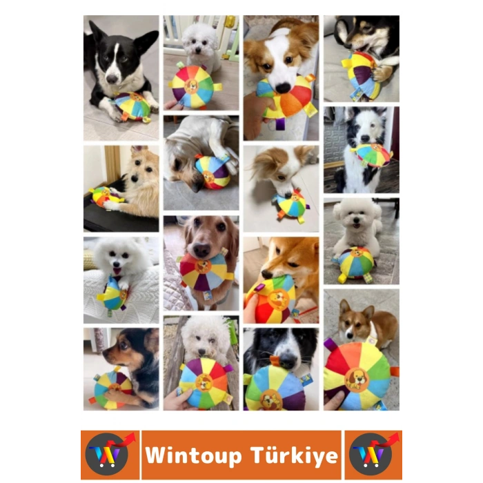 #Oyuncak Evcil Hayvan Oyuncak İlgi Çekici Renkli Sesli Yakala-Getir Isırma Çekiştirme Çıngıraklı Yumuşak Peluş Frizbi Köpek Oyuncağı 2 Adet