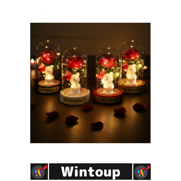 Balonlu Ayıcık Ledli Gül Fanus