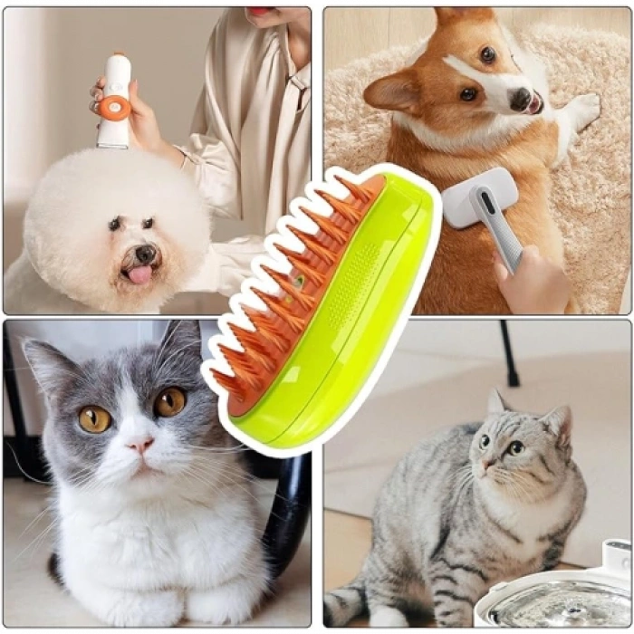 Buharlı Kedi Tarağı