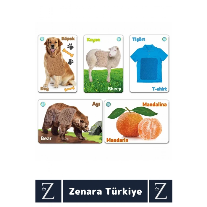 Çocuk Eğitici Görsel Algı Dil Gelişimi Eğlenceli DOKUN-HİSSET-TANI Türkçe-İngilizce Eğitim Kartları