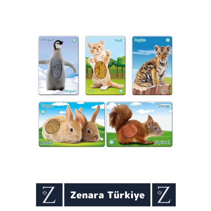 Çocuk Eğitici Görsel Algı Koordinasyon Eğlenceli DOKUN-HİSSET-TANI Eğitim Kartları YAVRU HAYVANLAR