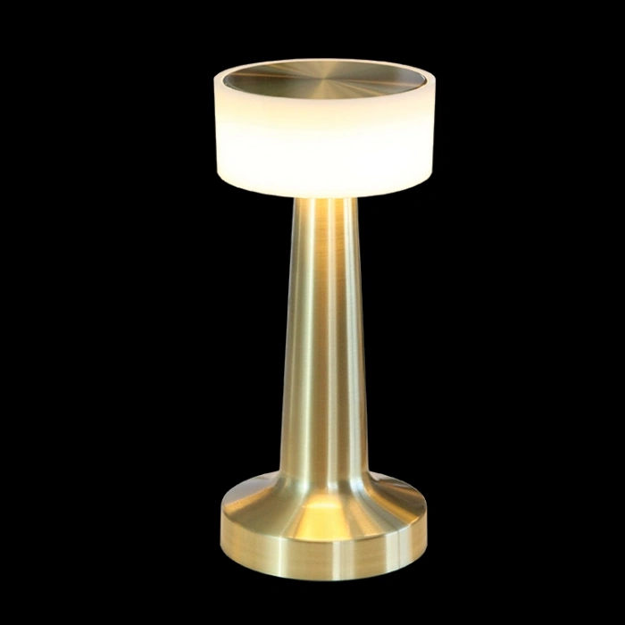 Dekoratif Led Masa Lambası MZ-701