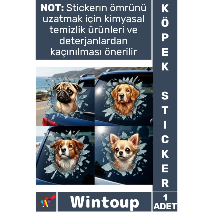 Fulcar Köpek Tasarımlı Araç Stickerı