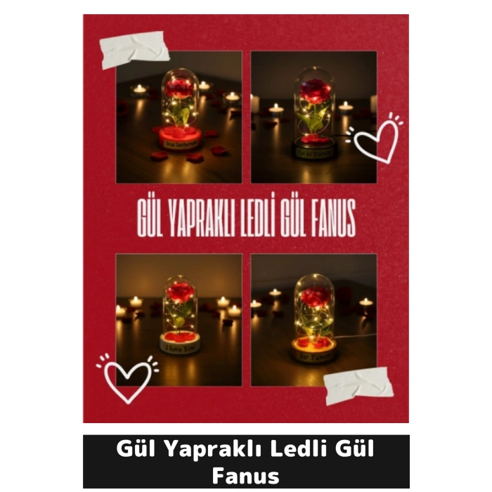 Gül Yapraklı Ledli Gül Fanus