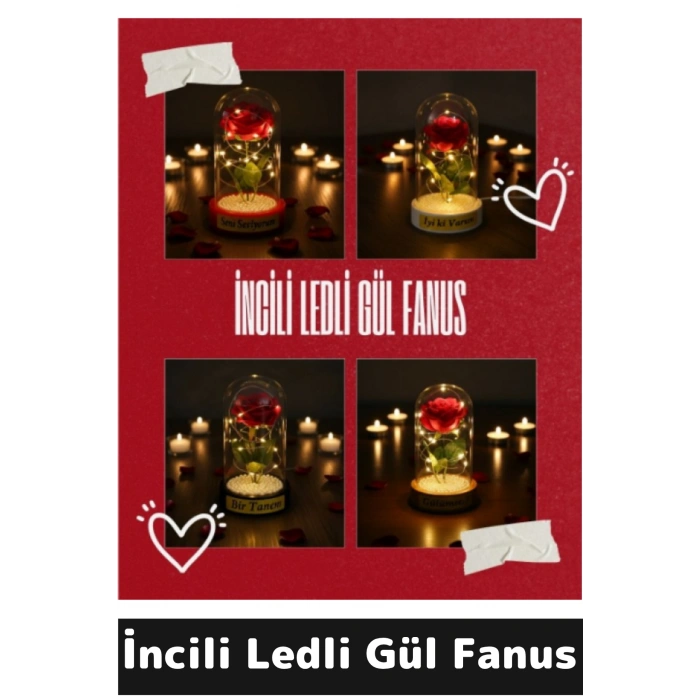 İncili Ledli Gül Fanus