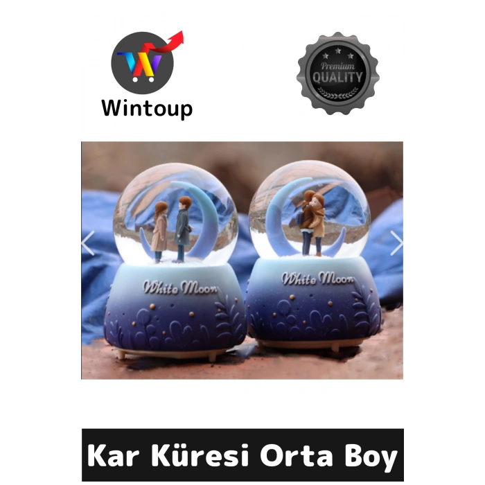 Kar Küresi Orta Boy WY20K08