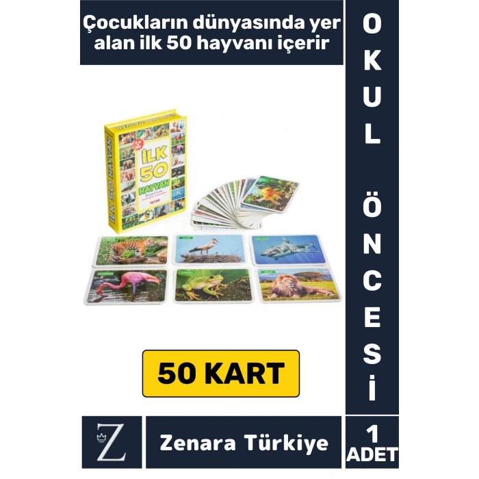 Okul Öncesi Koordinasyon Görsel Algı Geliştirici Hayvan İsimleri Öğretici Eğlenceli İLK 50 HAYVAN