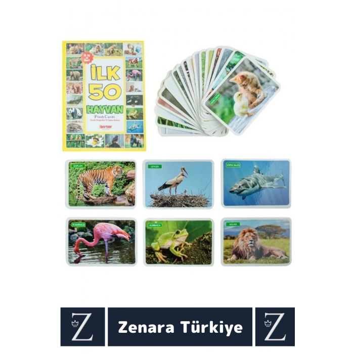 Okul Öncesi Koordinasyon Görsel Algı Geliştirici Hayvan İsimleri Öğretici Eğlenceli İLK 50 HAYVAN