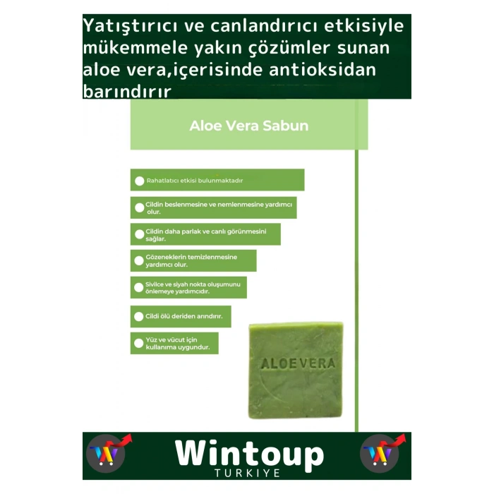 Özel Üretim %100 Organik Tüm Vücut Kullanım Bitkisel Aloe Vera Sabunu 2li