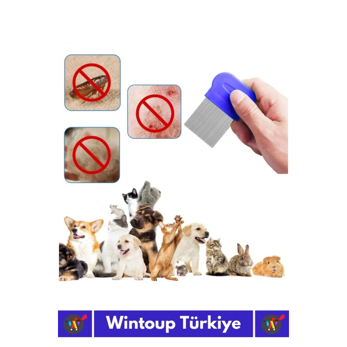 Özel Üretim Yüksek Kaliteli Hassas Koruma Petshop Kedi Köpek Evcil Hayvan 4lü Bit Tarağı Seti