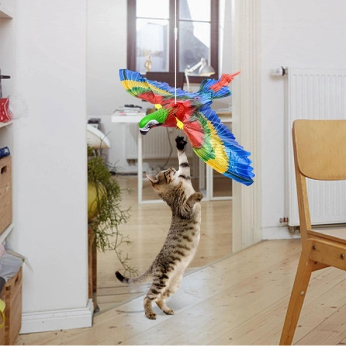 Uçan Papağan Kedi Oyuncağı