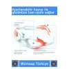 Özel Ayarlanabilir Kayışlı Su Geçirmez UV Koruma Silikon Plastik Antifog Kutulu Çocuk Deniz Gözlüğü
