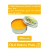 Premium Özel Metal Kutulu Arınma Huzur Meditasyon Yoga Esans Dekoratif Mum Oda Kokusu 120 Gram