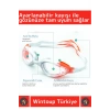 Premium Seri Ayarlanabilir Kayış Su Geçirmez UV Koruma Silikon Plastik Antifog Kutulu Deniz Gözlüğü