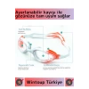 Özel Tasarım Su Geçirmez Buğu Yapmaz UV Korumalı Ayarlanabilir Kayışlı Antifog Kutulu Deniz Gözlüğü