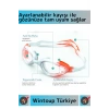 Özel Tasarım Su Geçirmez Buğu Yapmaz UV Korumalı Ayarlanabilir Kayışlı Antifog Kutulu Deniz Gözlüğü