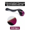 Yüksek Kaliteli 0.5 Mm 540 Titanyum İğneli Cilt Yenileyici Pürüzsüz Cilt Bakım Aleti Derma Roller