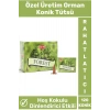 Rahatlatıcı Arındırıcı İyileştirici Ev Ofis Meditasyon Yoga Chakra Pozitif Enerji 120 Konik Tütsü
