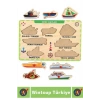 Premium Eğlenceli Eğitici Görsel Algı Problem Çözme Becerisi Çocuk Puzzle DENİZ TAŞITLARI