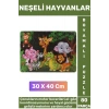 Premium Eğlenceli El Göz Koordinasyonu Motor Becerisi 80 Parça Boyamalı Puzzle NEŞELİ HAYVANLAR