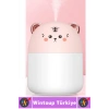 Portatif Sessiz Çalışır Şık Sevimli Kedi Tasarımlı Humidifier USB Şarjlı Oda Hava Nemlendirici 250ML