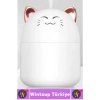 Portatif Sessiz Çalışır Şık Sevimli Kedi Tasarımlı Humidifier USB Şarjlı Oda Hava Nemlendirici 250ML