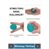 Ergonomik Stres Egzersiz Rehabilitasyon Fizyoterapi Silikon El Bilek Parmak Güçlendirme Topu 4lü SET
