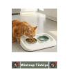 Evcil Hayvan Kaymaz Taban Çıkarılabilir Tasarım Çift Bölmeli Kedi Köpek Plastik Mama Su Kabı 2 in 1