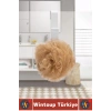 #Askı Montajsız Çok Amaçlı Küçük Eşya Havlu Çanta Mutfak Banyo ABS Sert Plastik Kanca Askı 12 Adet
