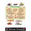 #Puzzle Eğitici Görsel Algı Meslekler Hava Kara Deniz Taşıtları Tanıma Ahşap Tutmalı Puzzle Seti