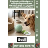 #Pet Evcil Hayvan Küçük Irk Köpek Avcılık İçgüdüsü Masaj Diş Kaşıma Sesli Dikenli Kedi Oyuncağı Topu
