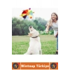 #Oyuncak Evcil Hayvan Oyuncak İlgi Çekici Renkli Sesli Yakala-Getir Isırma Çekiştirme Çıngıraklı Yumuşak Peluş Frizbi Köpek Oyuncağı
