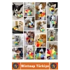 #Oyuncak Evcil Hayvan Oyuncak İlgi Çekici Renkli Sesli Yakala-Getir Isırma Çekiştirme Çıngıraklı Yumuşak Peluş Frizbi Köpek Oyuncağı