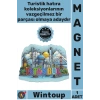 #Magnet Model Dekoratif Buzdolabı Hediyelik Hatıra Silüet 3D Katmanlı Ahşap İstanbul Temalı Magnet