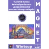 #Magnet Model Lazer Kesim Üç Boyutlu Hediyelik Dekoratif Şehir Silüeti Ahşap İstanbul Temalı Magnet