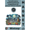 #Magnet Dekoratif Hatıra Eşyası Buzdolabı Süsü Turistik Hediyelik Şık Ahşap İstanbul Temalı Magnet