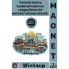 #Magnet Özel Tasarım Katmanlı Silüet Hediyelik Dekoratif Koleksiyonluk Ahşap İstanbul Temalı Magnet