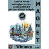 #Magnet Katmanlı Şık Şehir Silüeti Tasarım Üç Boyut Buzdolabı Hediyelik Ahşap İstanbul Temalı Magnet
