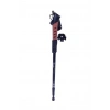 BATON