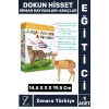 Çocuk Eğitici Dokunma Duyu Dil Becerisi Görsel Algı Sözlü İletişim Gelişim Eğlenceli EĞİTİM KARTLARI