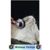 Ergonomik Kaymaz Uzun Kısa Tüy Tüm Irklar İçin Kendini Temizleyen Otomatik Tuşlu KEDİ KÖPEK TARAĞI