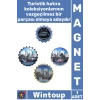 #Magnet Turistik Şık Hediye Buzdolabı Dekoratif Nostaljik Model İstanbul Temalı Gazoz Kapağı Magnet